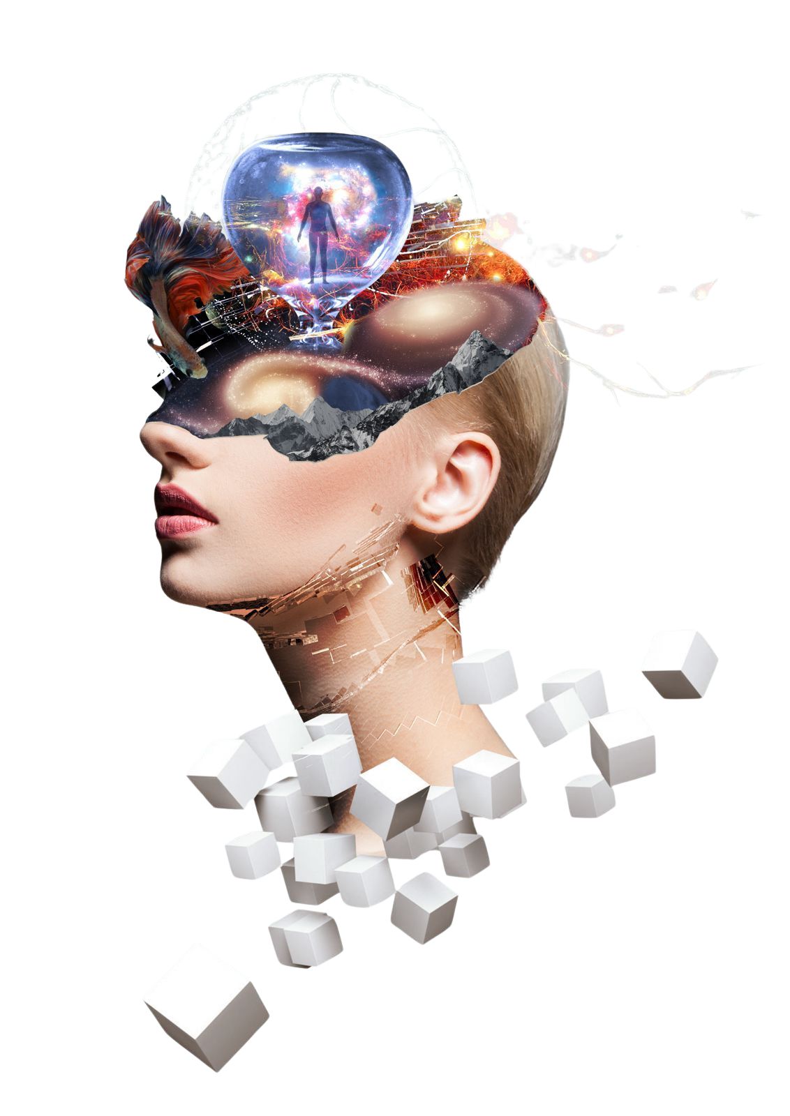 Yuma Muranushi portrait collage